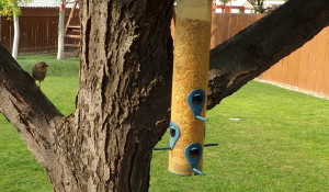 Keep Your Eyes On The Prize