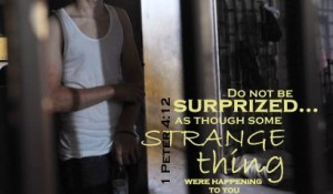 Do Not Think This Strange