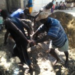 11638738_847357865352295_398248739_o