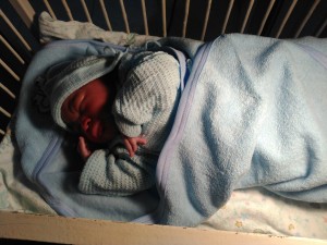 11649288_847866965301385_995787616_o