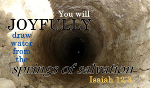 Springs of Salvation