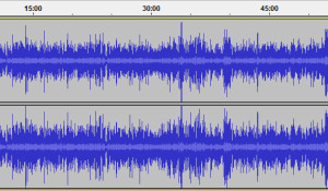 the Bridge Cast (tBC020)