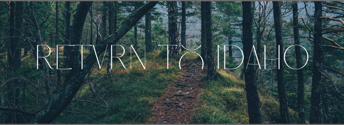 Stop Electing Republicans Who Vote Like Democrats